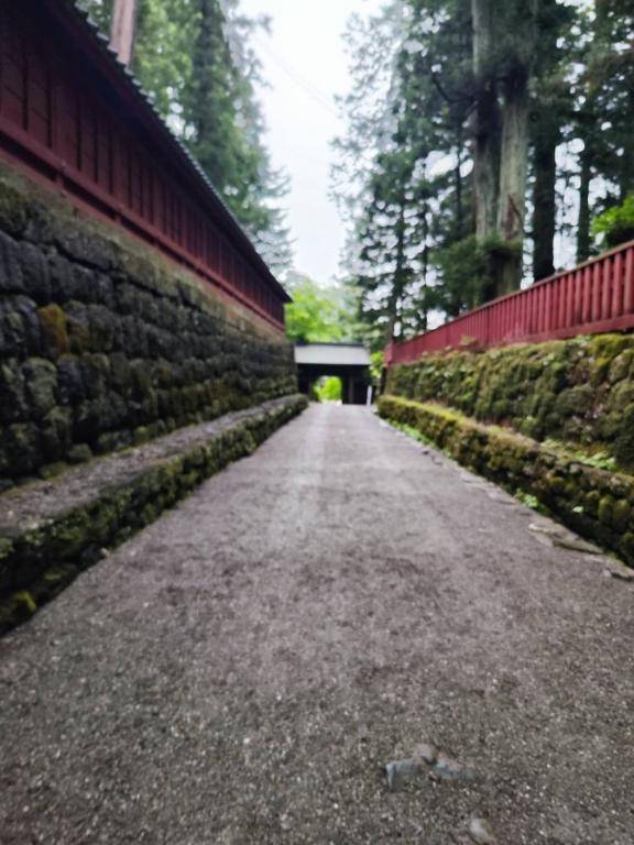 チノさん　写メ画像