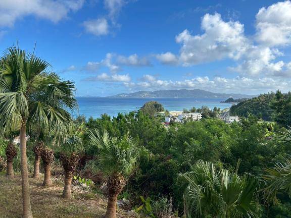 チノさん　写メ画像