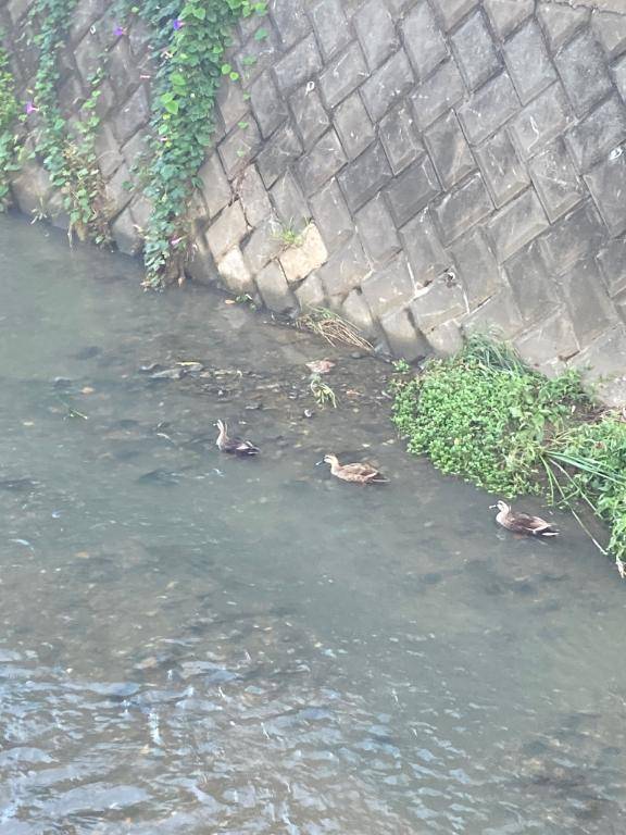 チノさん　写メ画像