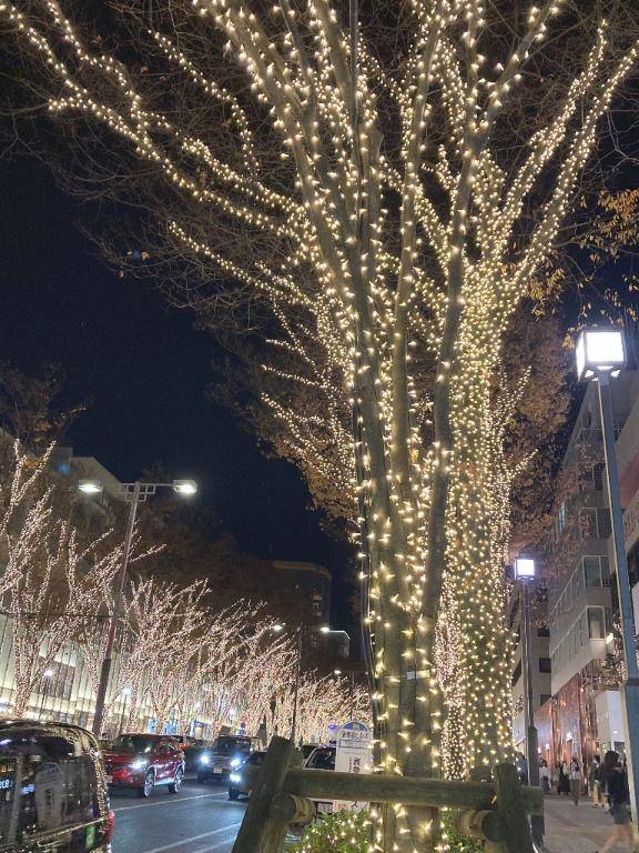 チノさん　写メ画像