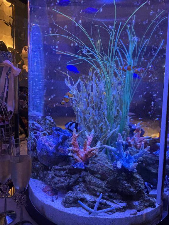 チノさん　写メ画像