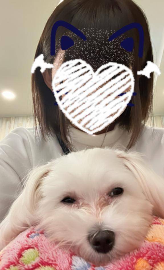 メグpicture